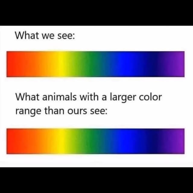  .......ermemes   'recent posts' 