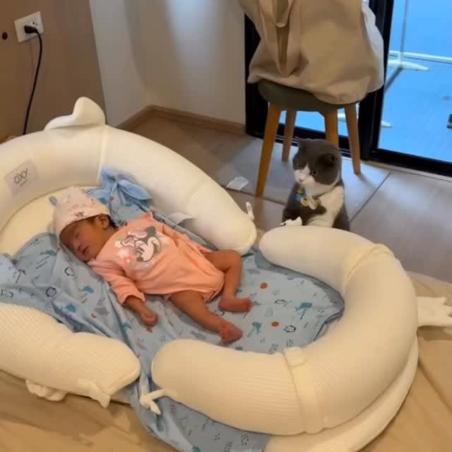  .......skittens   'recent posts' 