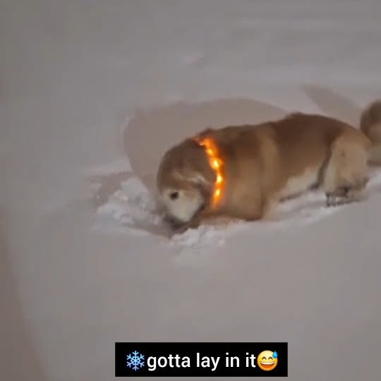  ..ps   'recent posts' 