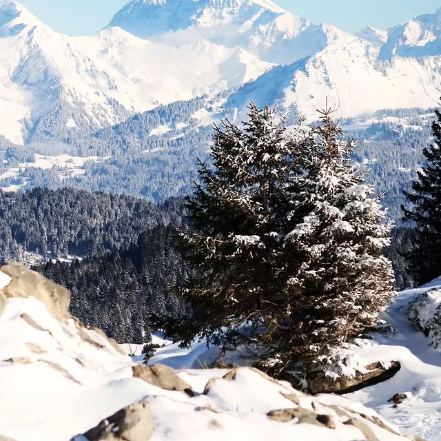  .........rancaises   'recent posts' 