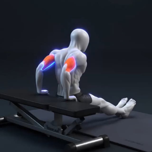  ......thenics   'recent posts' 