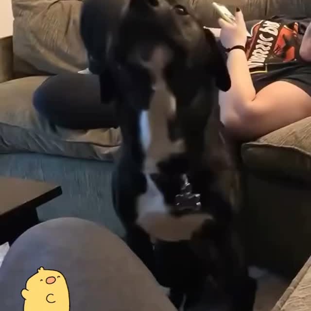  ........versgram   'recent posts' 