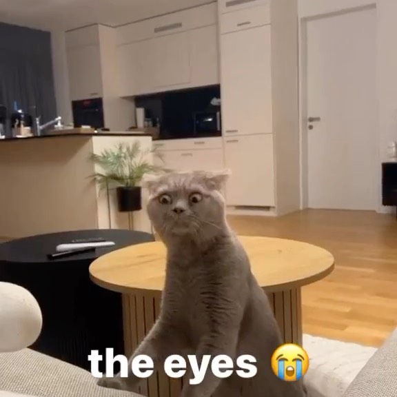  .....attos   'recent posts' 