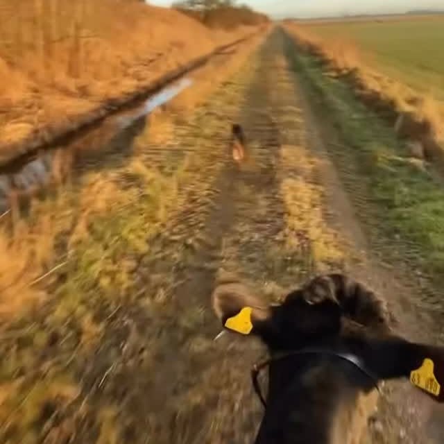  ......khabits   'recent posts' 