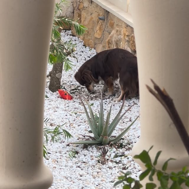  .....og2020   'recent posts' 