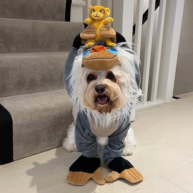  ......bear.29   'recent posts' 