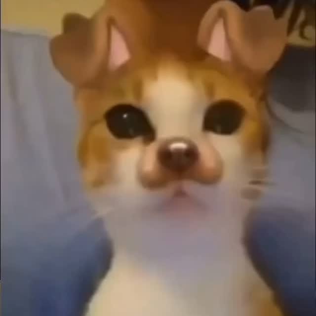  ......nd.kits   'recent posts' 