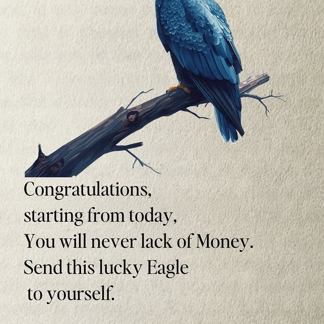  .....twano   'recent posts' 