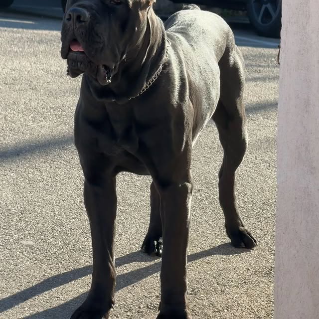  .........pet_world   'recent posts' 