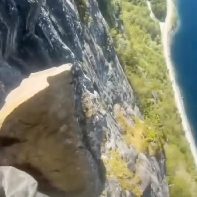  ......naturee   'recent posts' 