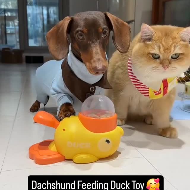  ..........fan.club_   'recent posts' 