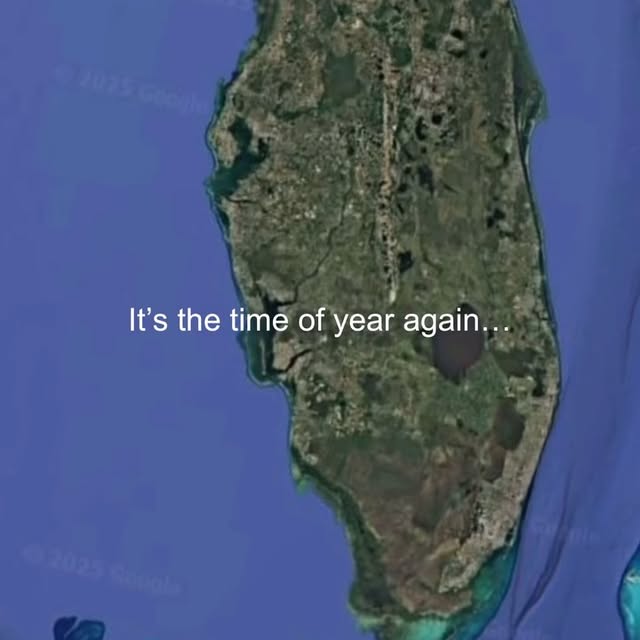  .....lorida   'recent posts' 