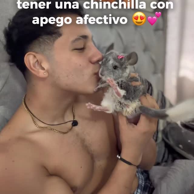  ........del_exito   'recent posts' 