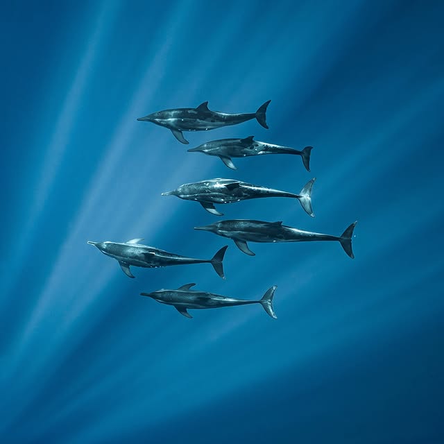  ......uecoast   'recent posts' 