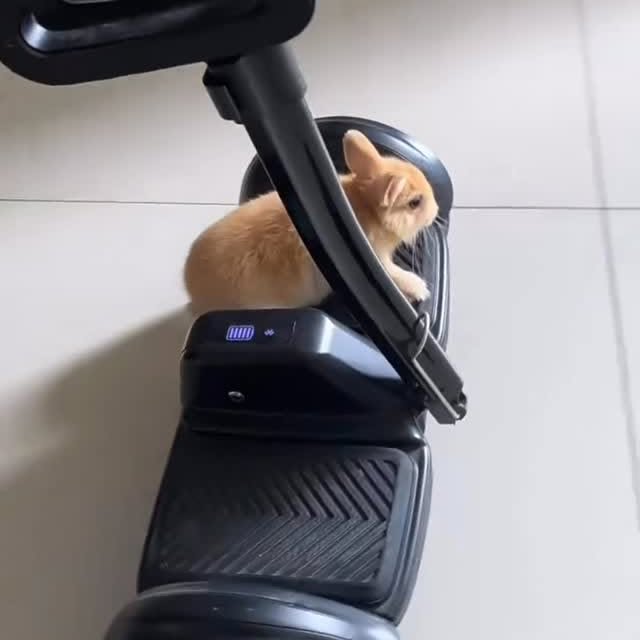  .......inheart   'recent posts' 