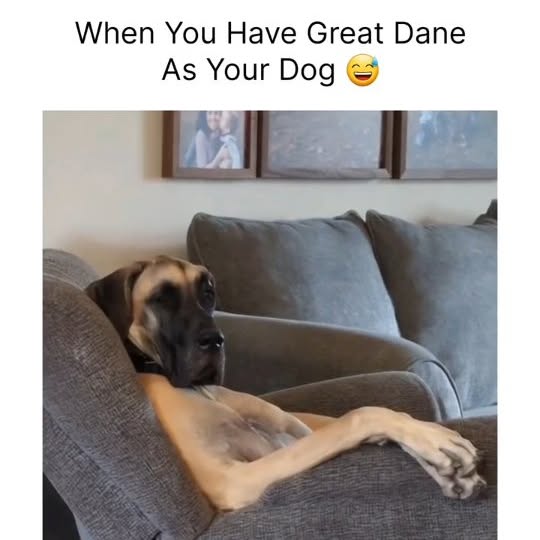  .....ibess   'recent posts' 