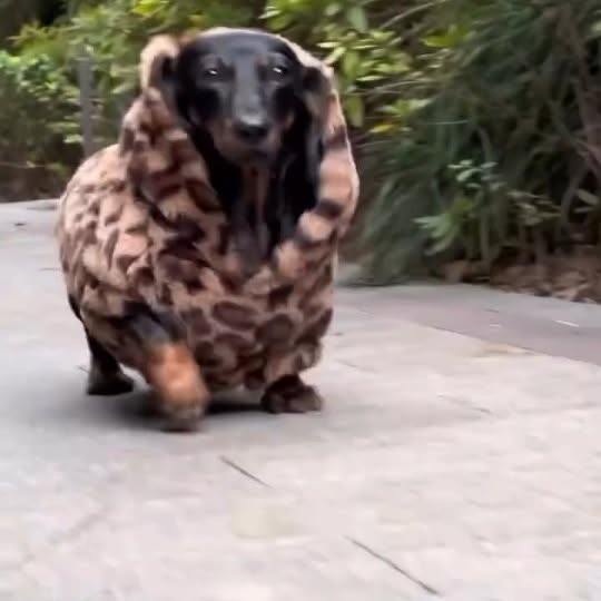  ..........fan.club_   'recent posts' 