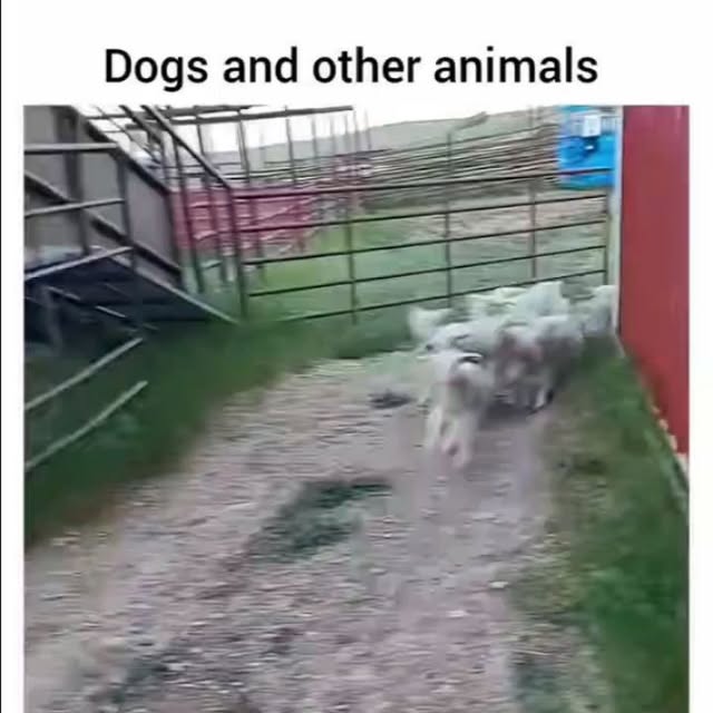  .....ibess   'recent posts' 