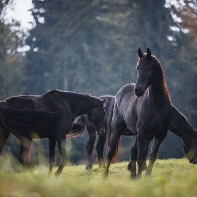  .......avelbook   'recent posts' 