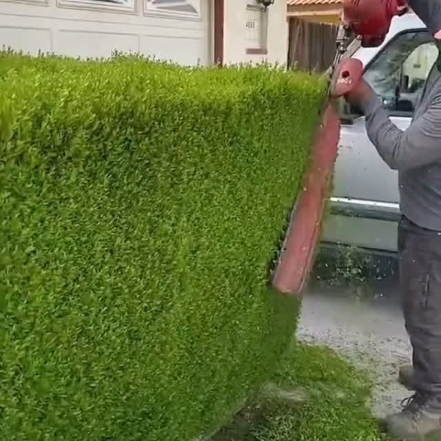  .........gdreamers   'recent posts' 