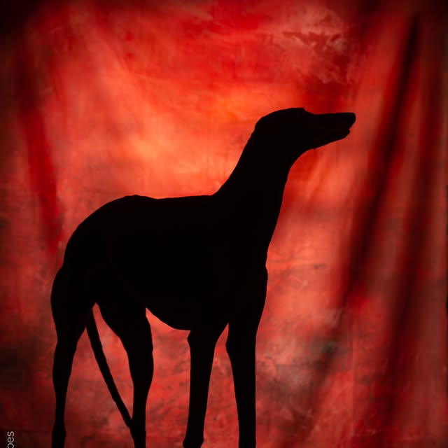  ..........hotography   'recent posts' 