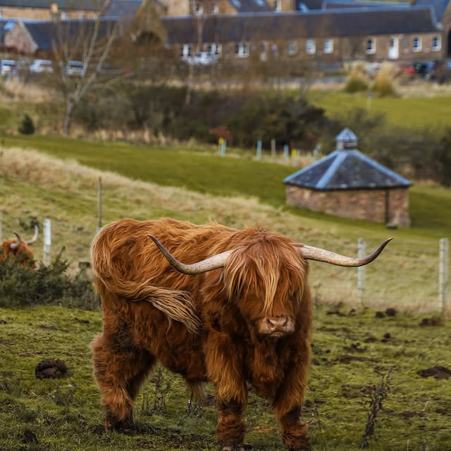  ......_babini   'recent posts' 