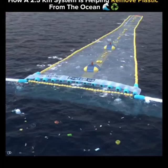  .......kyfacts   'recent posts' 