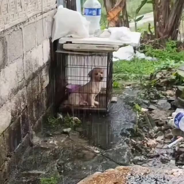  ....ash_   'recent posts' 