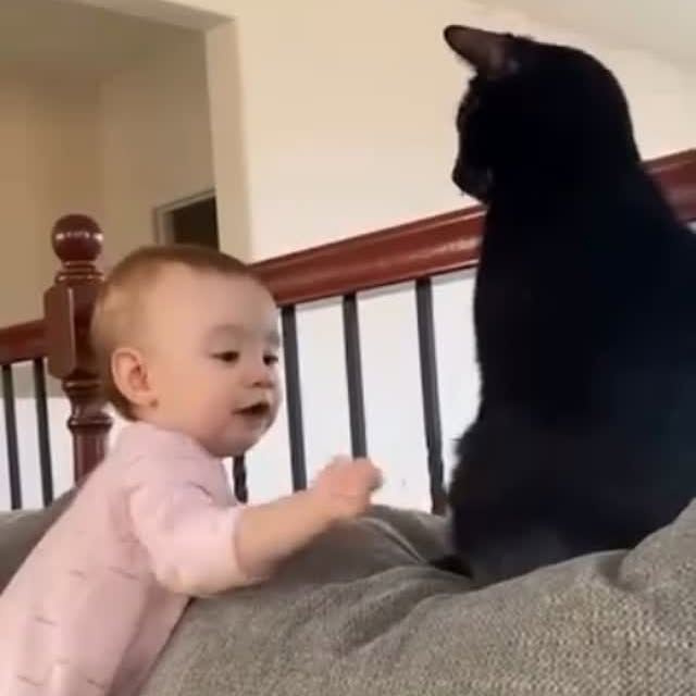  ......ingcat   'recent posts' 