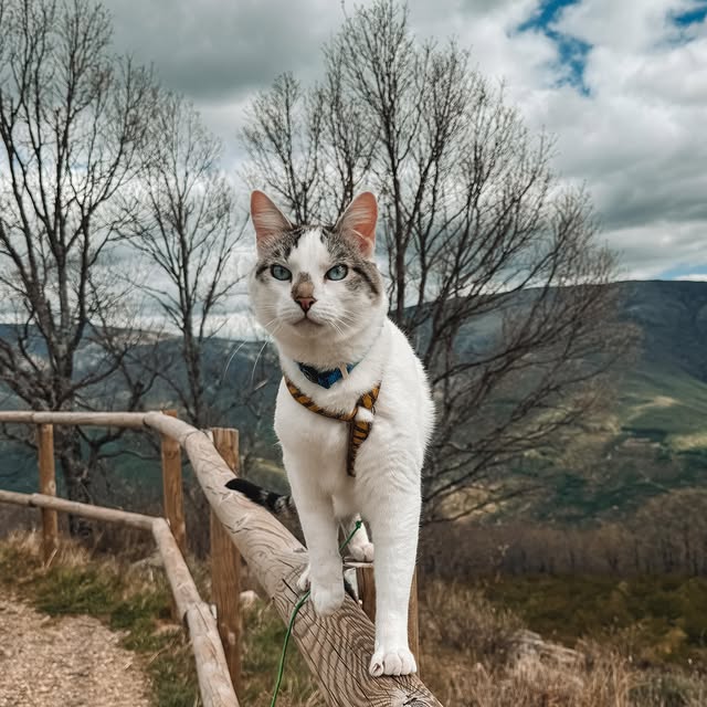  ....iseme   'recent posts' 