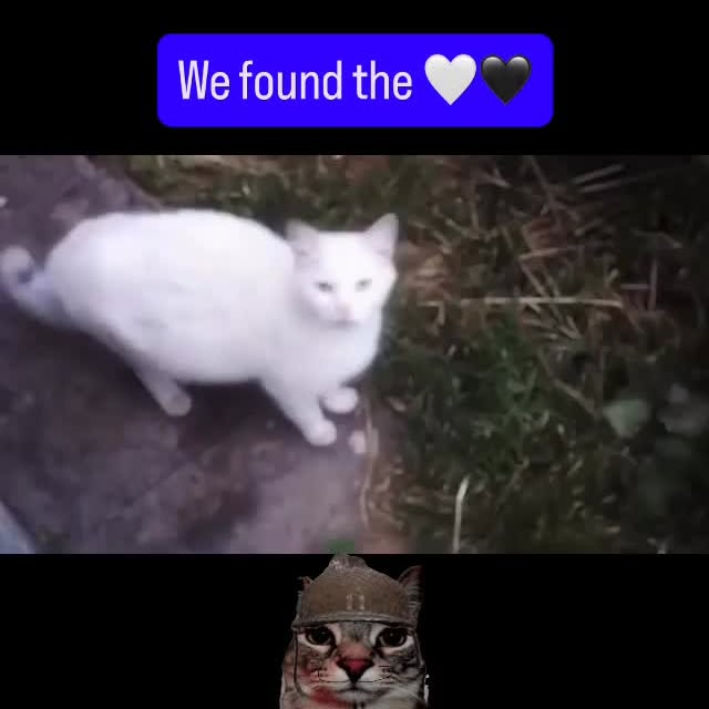  ....eowsy   'recent posts' 