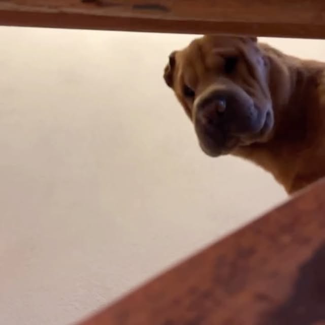  ......i.world   'recent posts' 