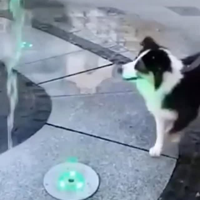  ......ogscute   'recent posts' 