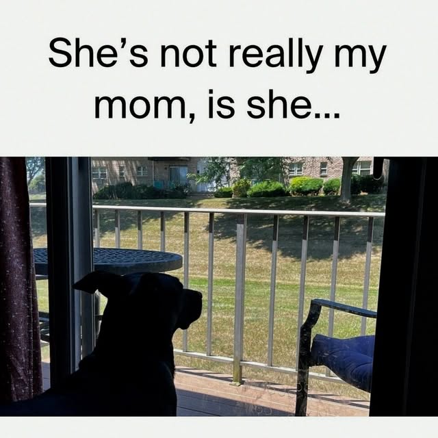  .......ndrulzz   'recent posts' 