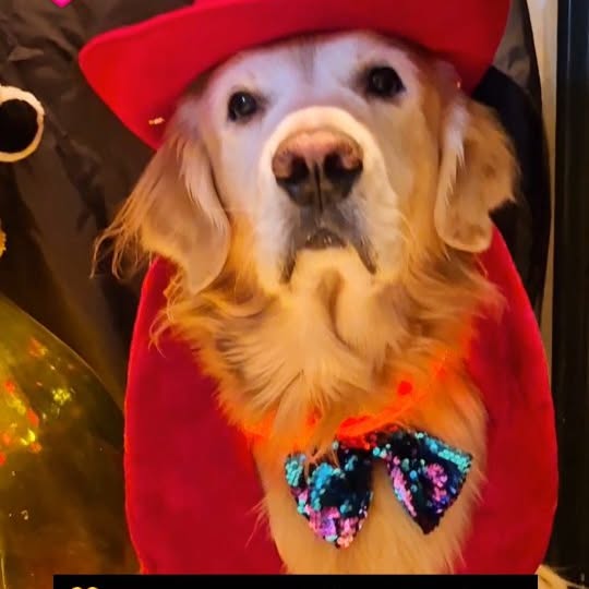  ..ps   'recent posts' 