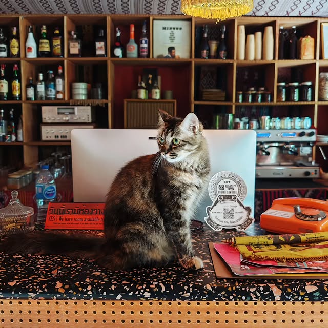  .....uslong   'recent posts' 