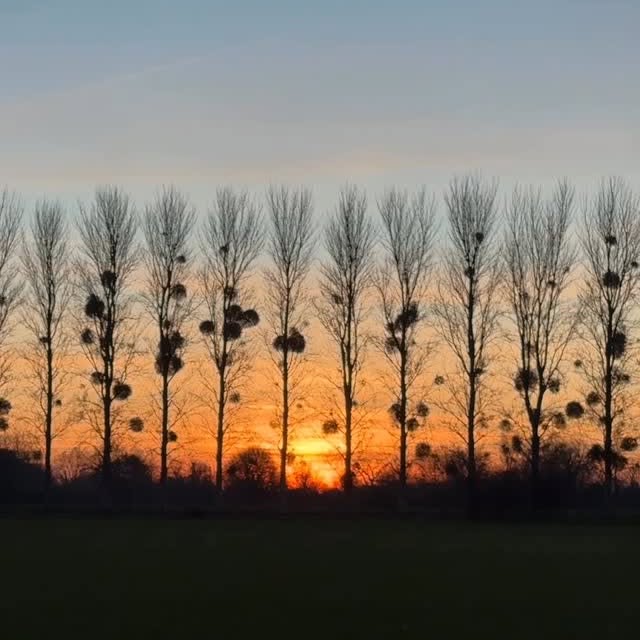  .......sell_luc   'recent posts' 