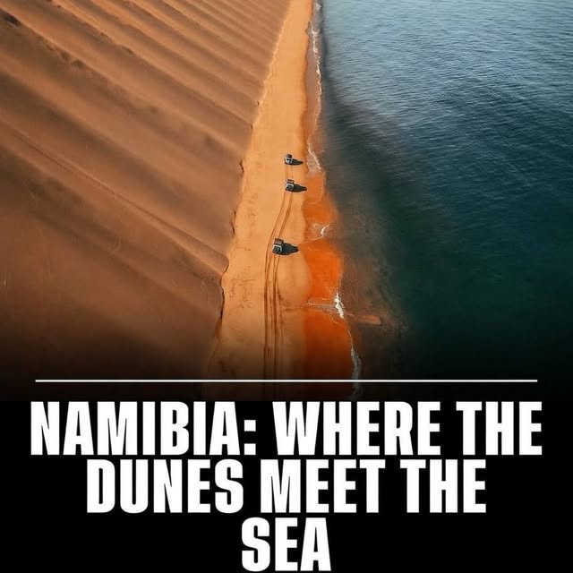  .......rfervor   'recent posts' 