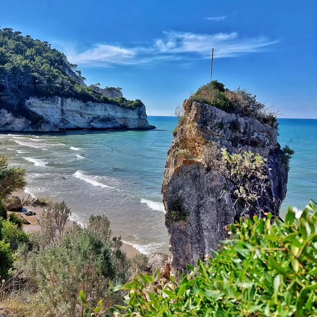  .......antuccis   'recent posts' 