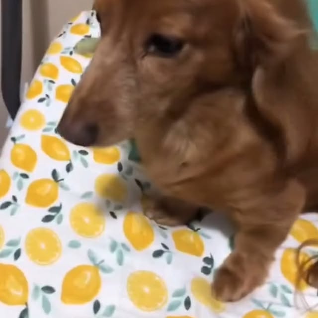  .....sland   'recent posts' 