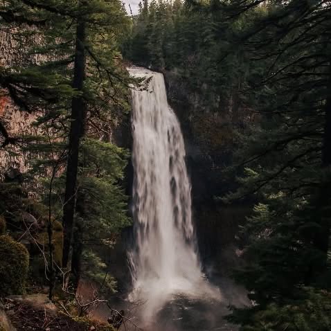  .......utevibes   'recent posts' 