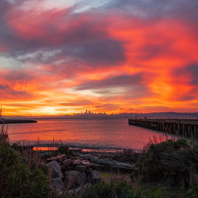  ......aphael   'recent posts' 