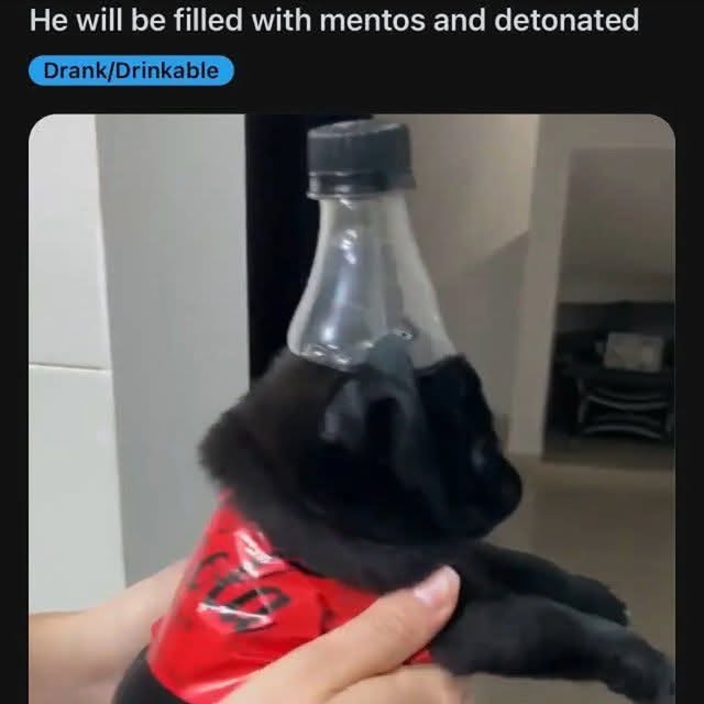  .....memes   'recent posts' 