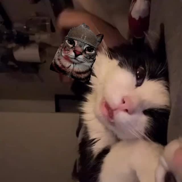  ....eowsy   'recent posts' 