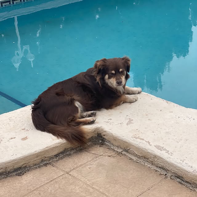  .....og2020   'recent posts' 