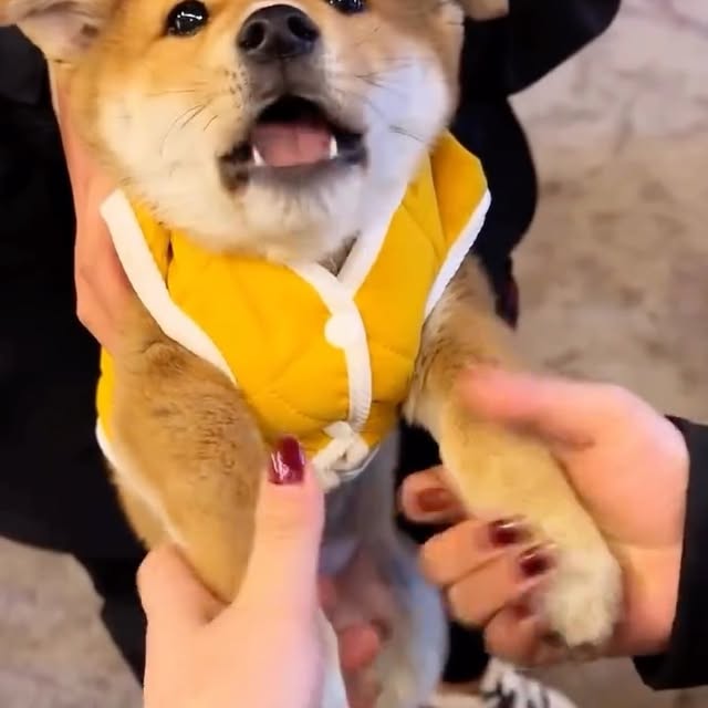  ....fday   'recent posts' 