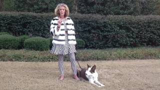  ......Atwater  'recent videos' 