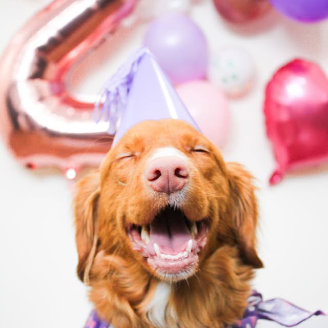  ......atoller   'recent posts' 