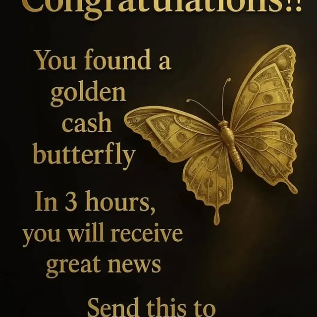  .....twano   'recent posts' 