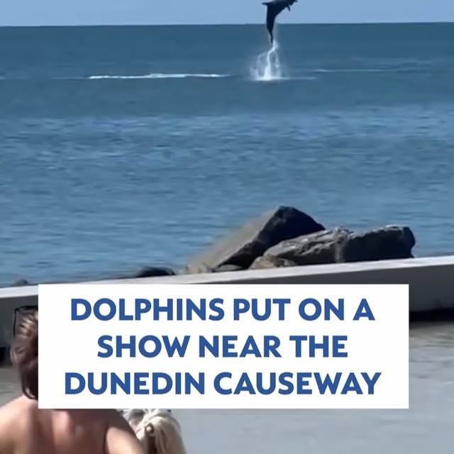  .....lorida   'recent posts' 